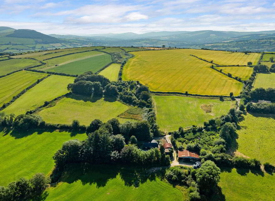 Ballymoneen, Avoca, Y14YV67