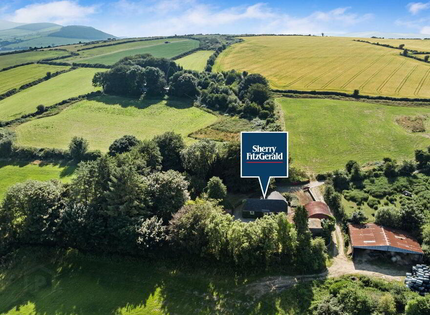 Ballymoneen, Avoca, Y14YV67