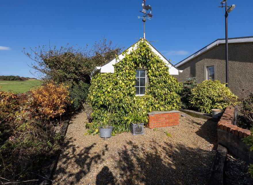 Bolinready, Ballycanew, Ballycanew, Y25A998