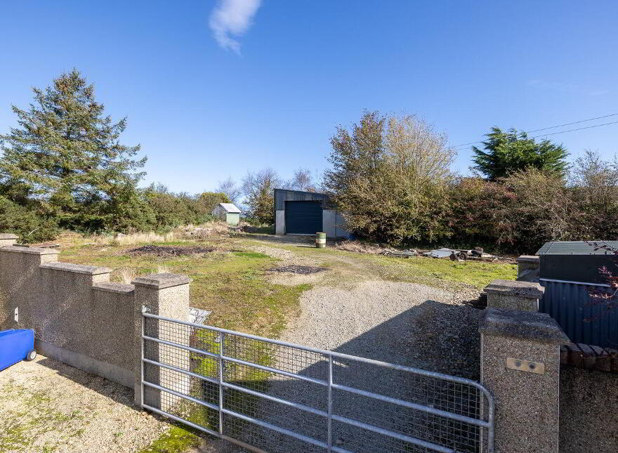 Bolinready, Ballycanew, Ballycanew, Y25A998