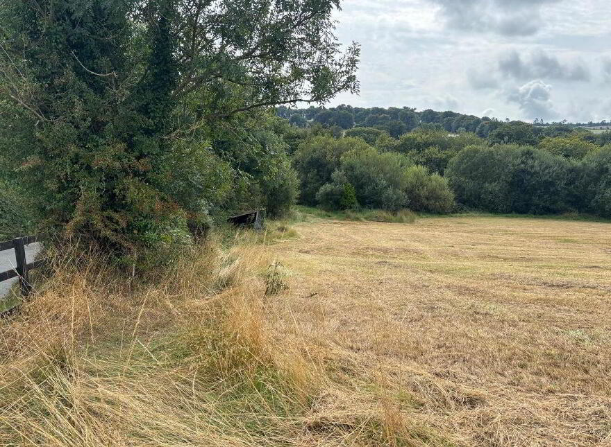 Site, SPP At Annagh Middle, Hollyfort