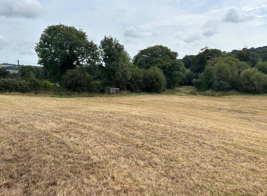 Site, SPP At Annagh Middle, Hollyfort