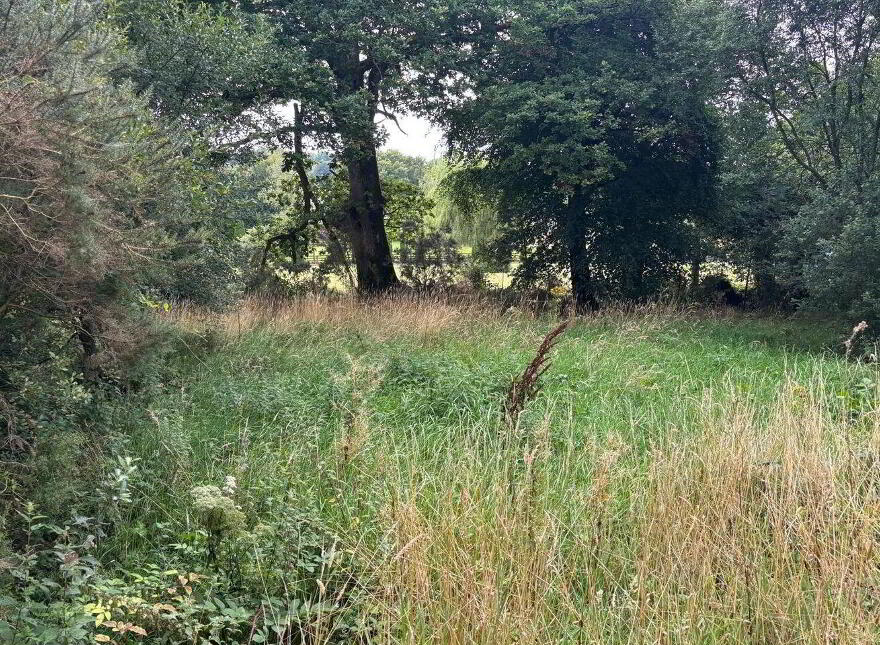 Site, SPP At Annagh Middle, Hollyfort