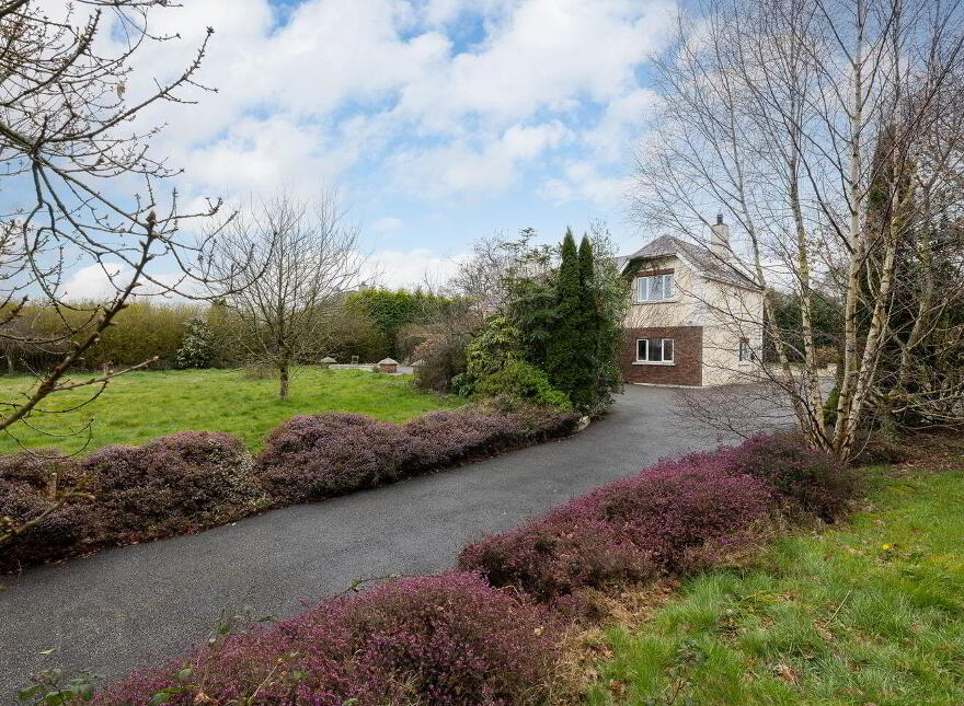 The Oak Tree, Newtown, Ferns, Y21W2V0
