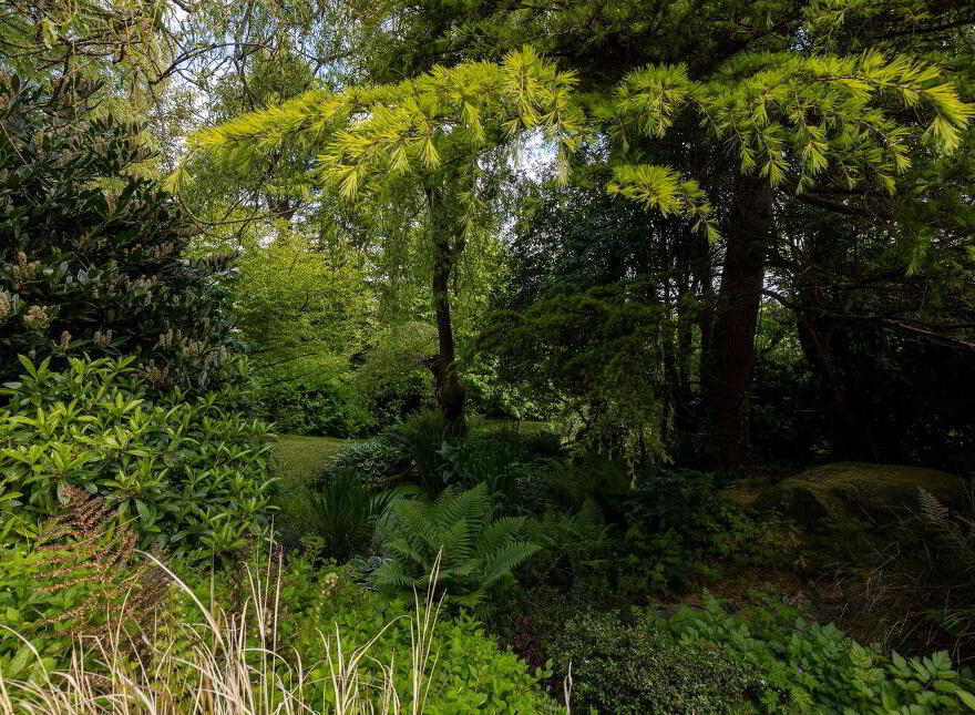 Moss Cottage, Hospital Hill, Bunclody, Y21N884