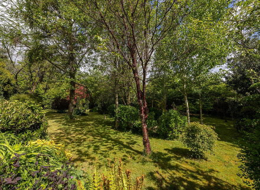 Moss Cottage, Hospital Hill, Bunclody, Y21N884