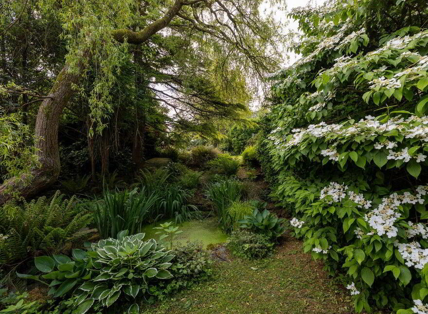 Moss Cottage, Hospital Hill, Bunclody, Y21N884
