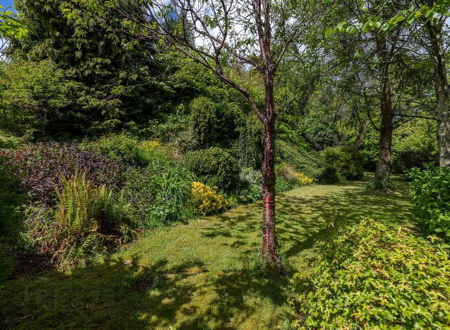 Moss Cottage, Hospital Hill, Bunclody, Y21N884