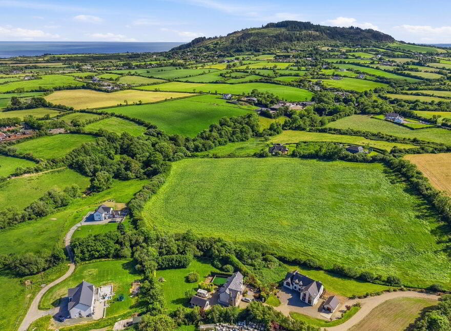 Cullenogue, Tara Hill, Tara Hill, Y25E0X2