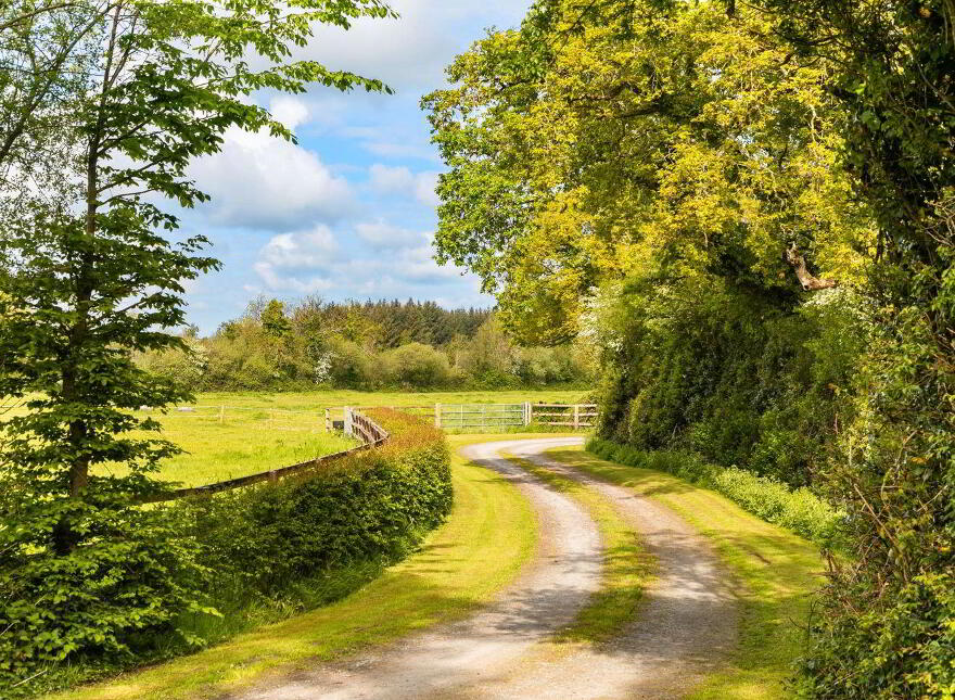 Ballylanigan House, Mullinahone, E41HR60
