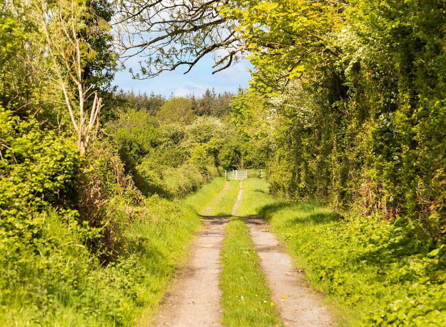 Ballylanigan House, Mullinahone, E41HR60