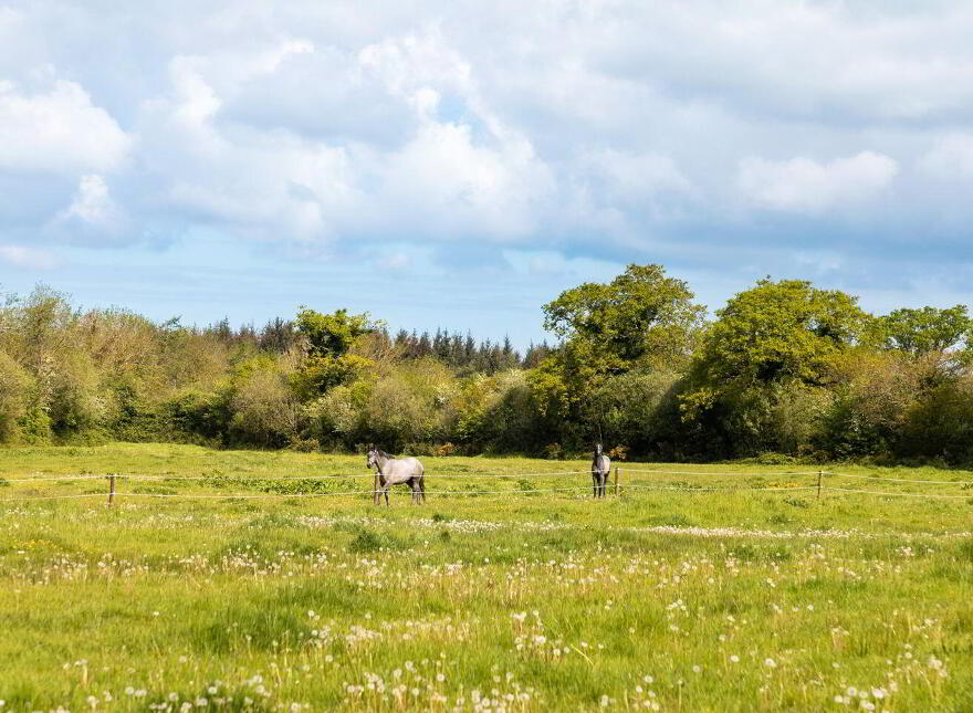 Ballylanigan House, Mullinahone, E41HR60