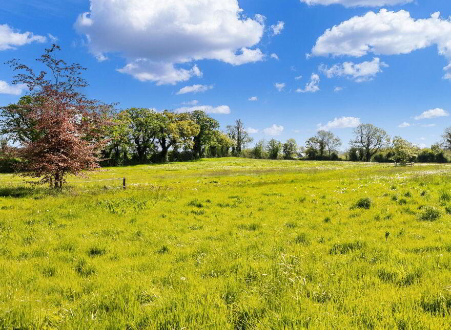 Ballylanigan House, Mullinahone, E41HR60