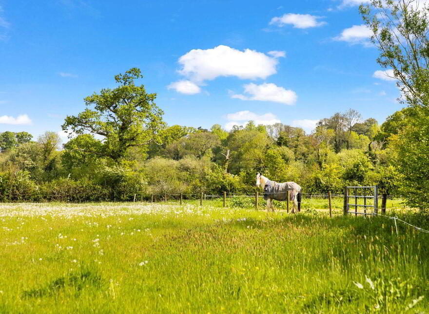 Ballylanigan House, Mullinahone, E41HR60