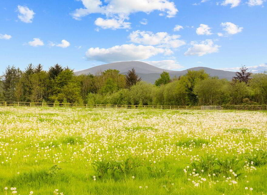 Ballylanigan House, Mullinahone, E41HR60