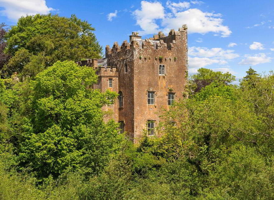 Ardfinnan Castle, Ardfinnan, E91A398