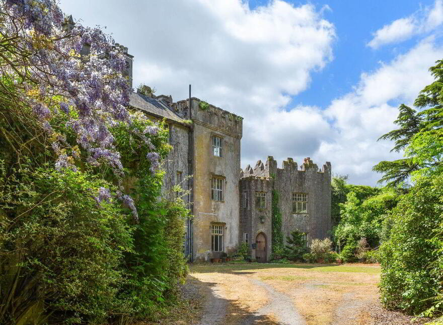 Ardfinnan Castle, Ardfinnan, E91A398