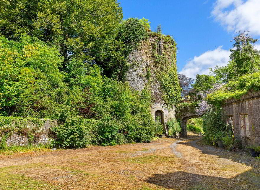 Ardfinnan Castle, Ardfinnan, E91A398