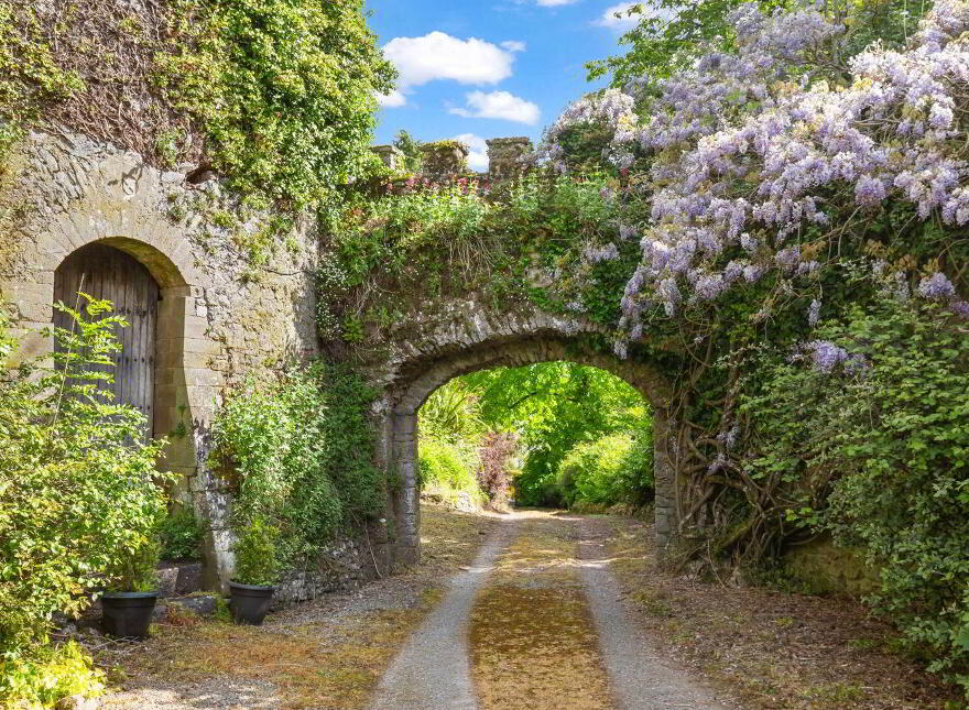Ardfinnan Castle, Ardfinnan, E91A398