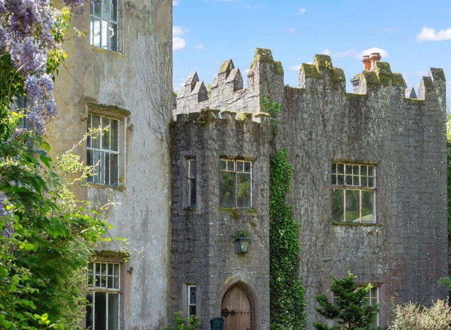 Ardfinnan Castle, Ardfinnan, E91A398