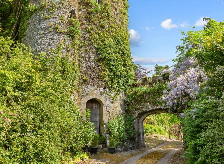 Ardfinnan Castle, Ardfinnan, E91A398