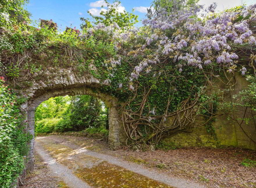 Ardfinnan Castle, Ardfinnan, E91A398