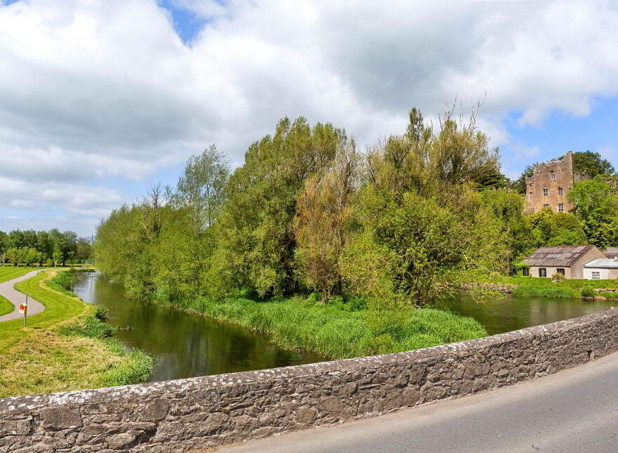 Ardfinnan Castle, Ardfinnan, E91A398