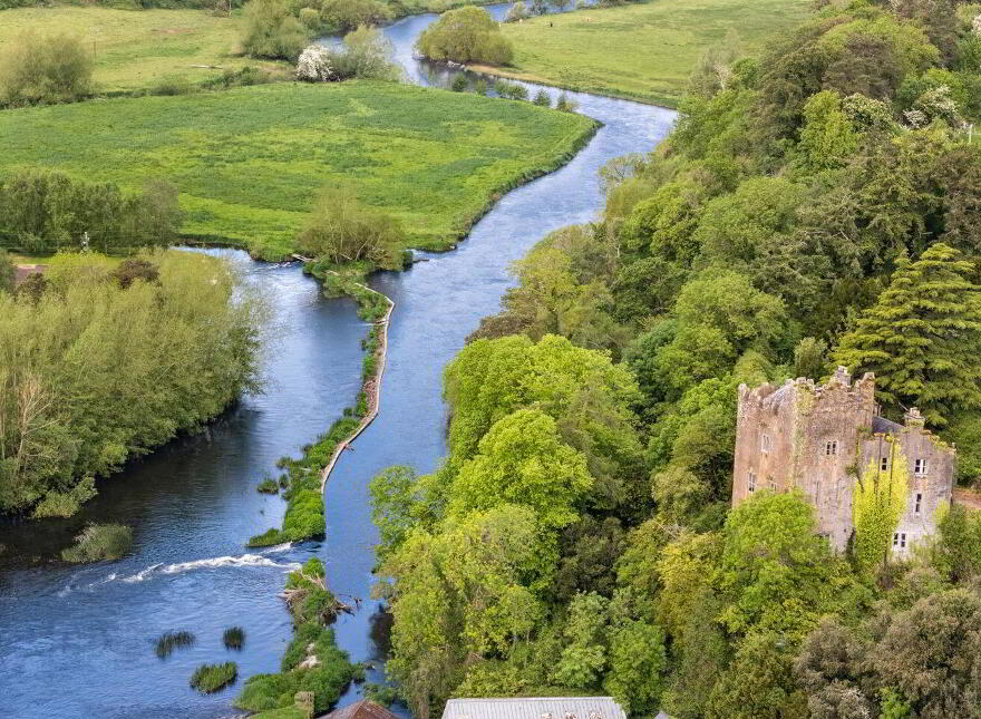 Ardfinnan Castle, Ardfinnan, E91A398