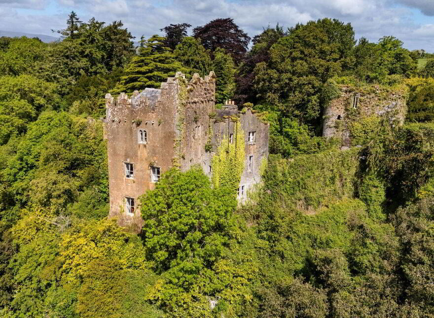 Ardfinnan Castle, Ardfinnan, E91A398