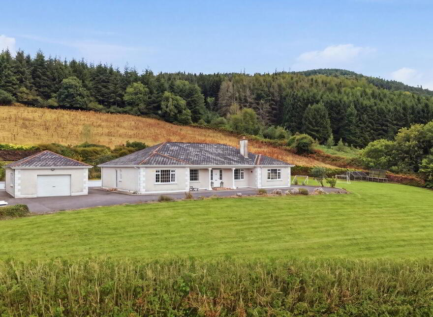 Kilmacomma, Clonmel, E91TW90 photo