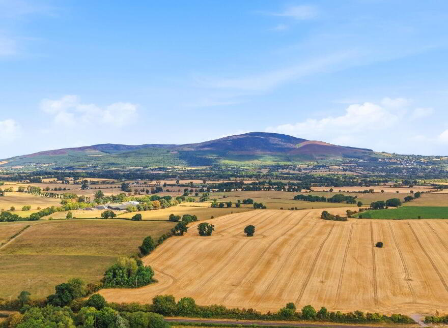 Poulakerry, Kilsheelan, E91D899