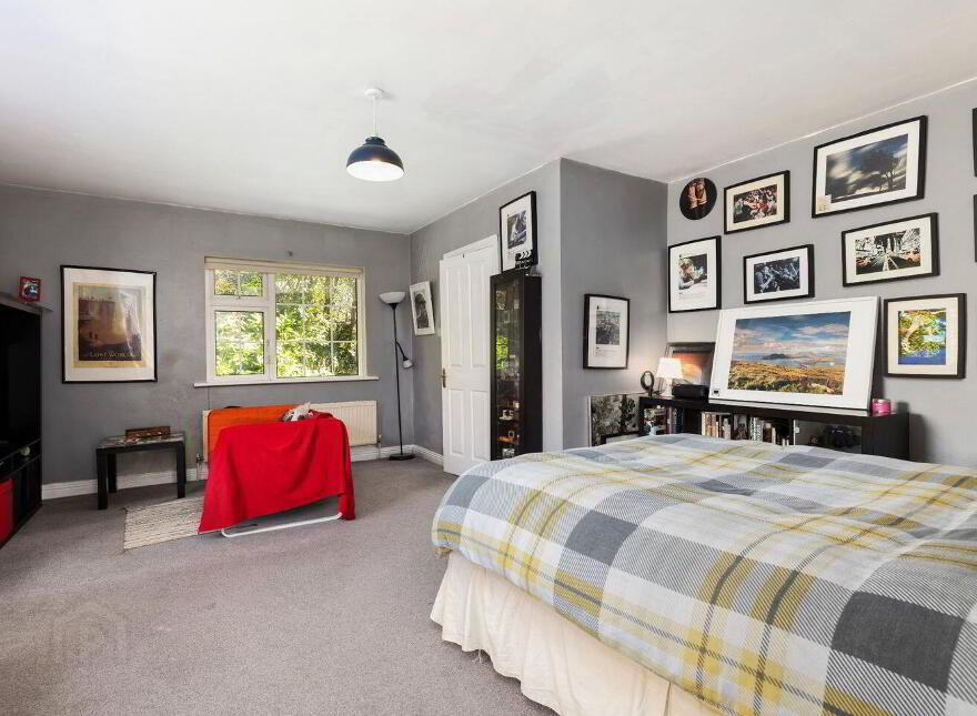 Papion, Erskine Avenue, The Burnaby, Greystones, A63AV88
