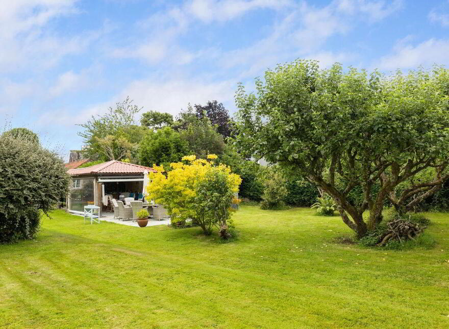 Papion, Erskine Avenue, The Burnaby, Greystones, A63AV88