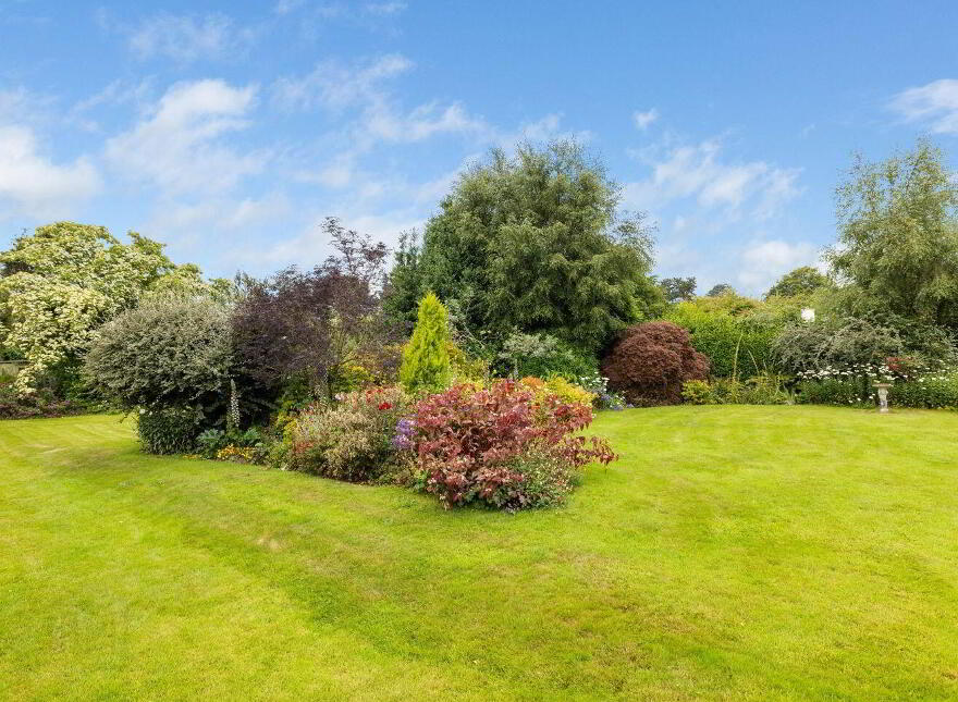 Papion, Erskine Avenue, The Burnaby, Greystones, A63AV88