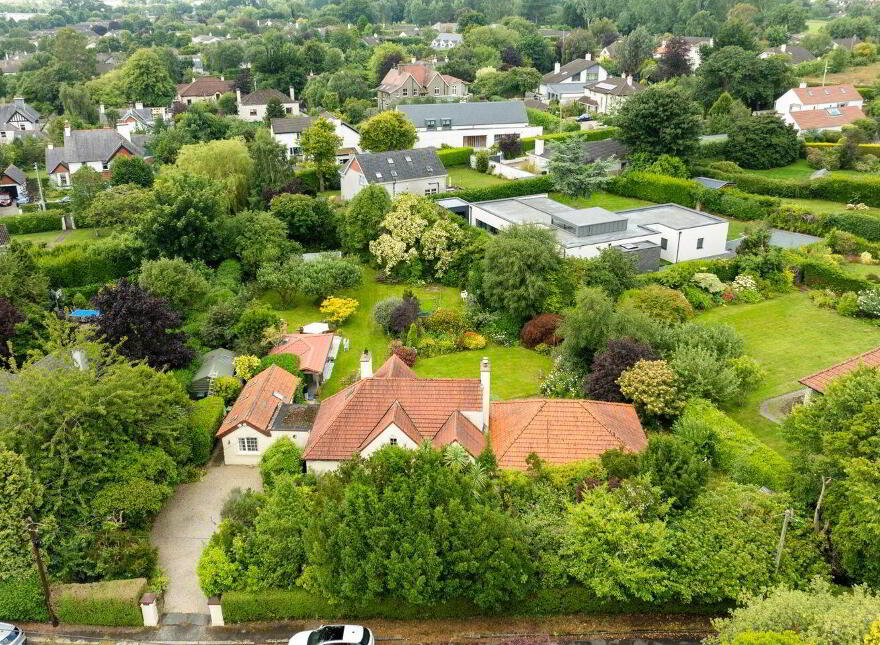 Papion, Erskine Avenue, The Burnaby, Greystones, A63AV88
