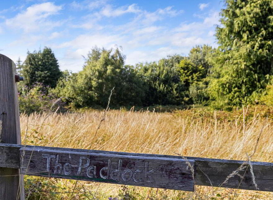 Plot, Of Land In Old Russian Village, Kilquade