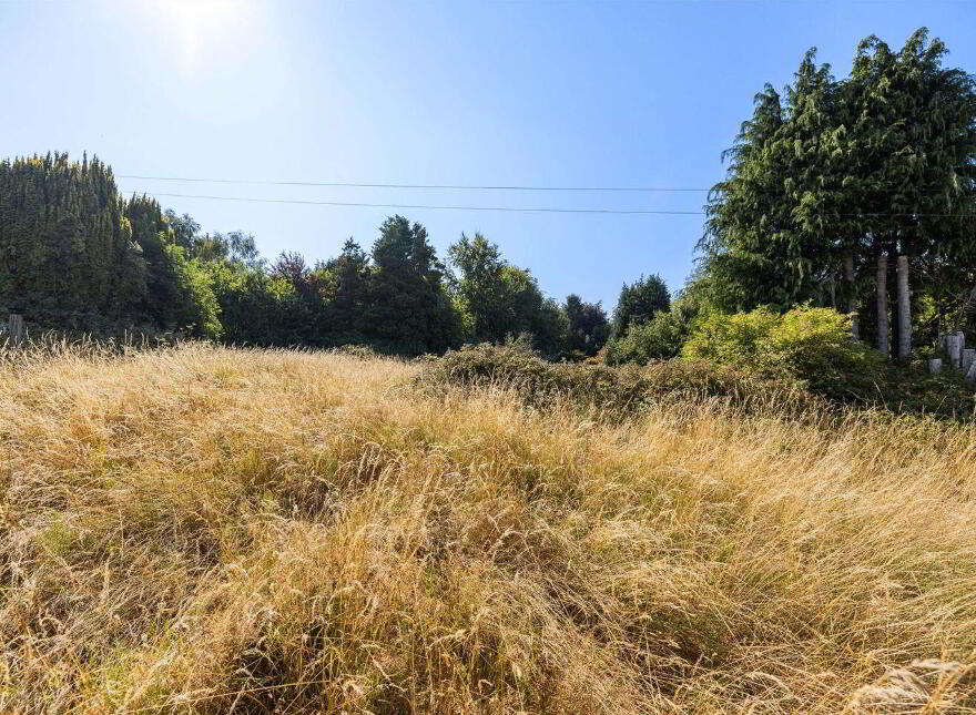 Plot, Of Land In Old Russian Village, Kilquade