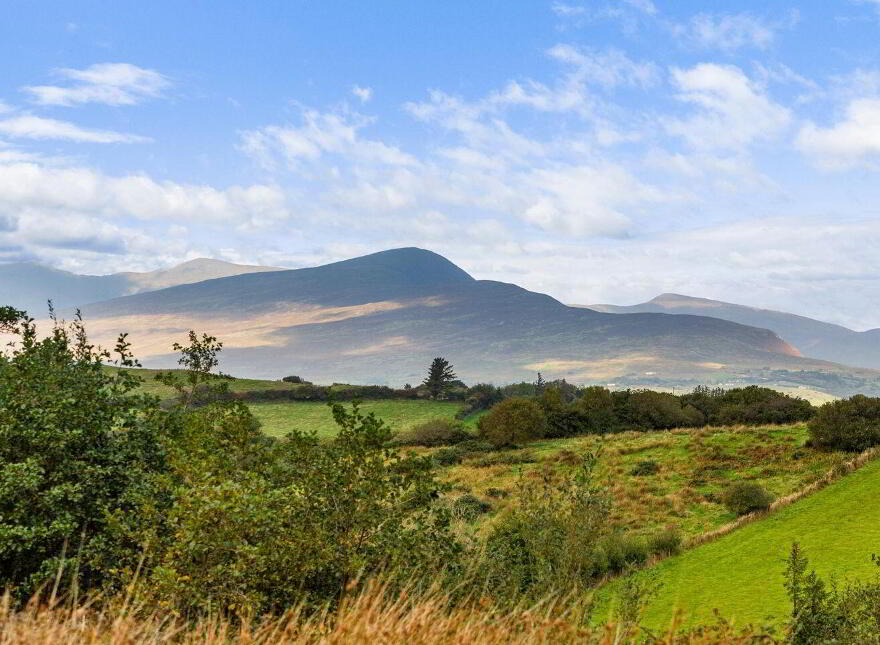 Newport House, Main Street, Newport, F28F243