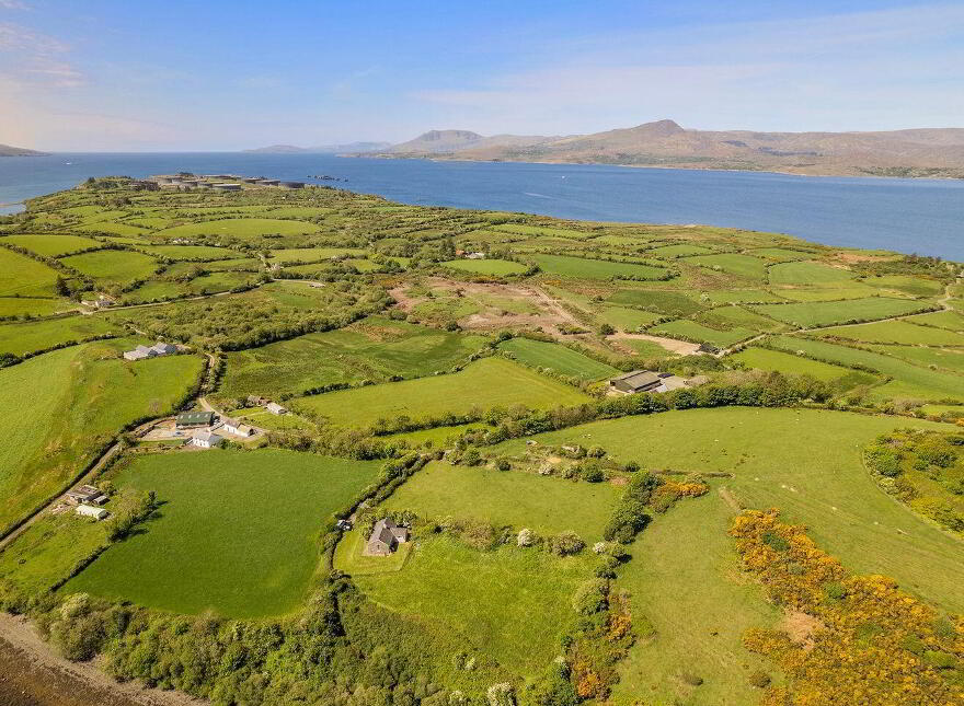Whiddy Island, Bantry, P75EF25