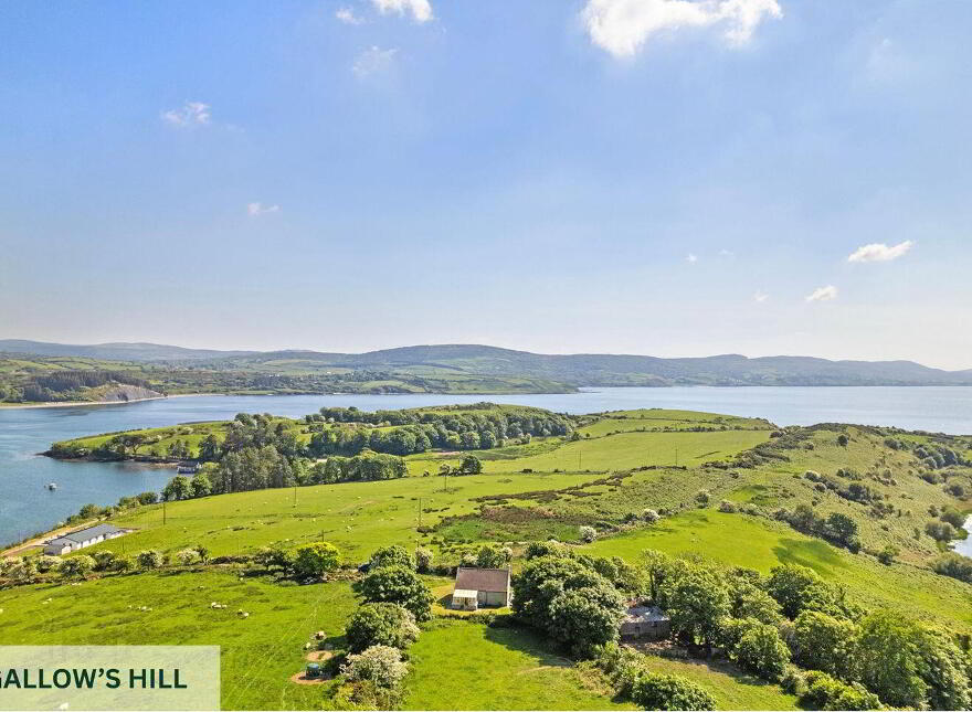 Whiddy Island, Bantry, P75EF25