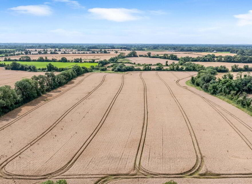 Friarspark House, On Approx, 17.9 Hec (44 Acres), Friarspark, Laracor, C15A0C5