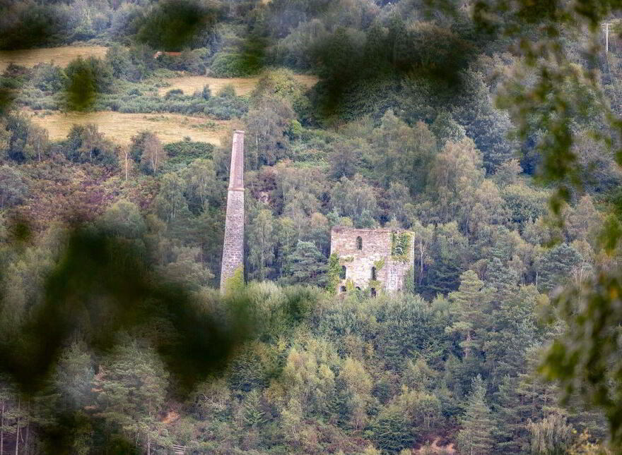Rowan Lodge, Kilcashel, Avoca, Y14RR24