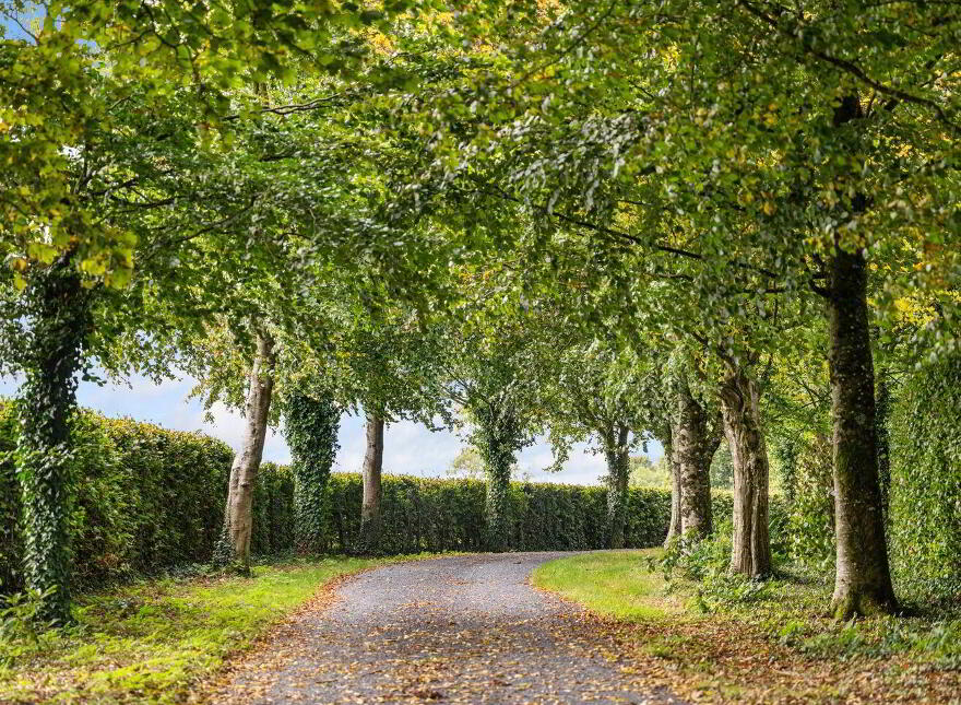 Ballysallagh House, Kilkenny, Kilkenny Town, R95A6P1