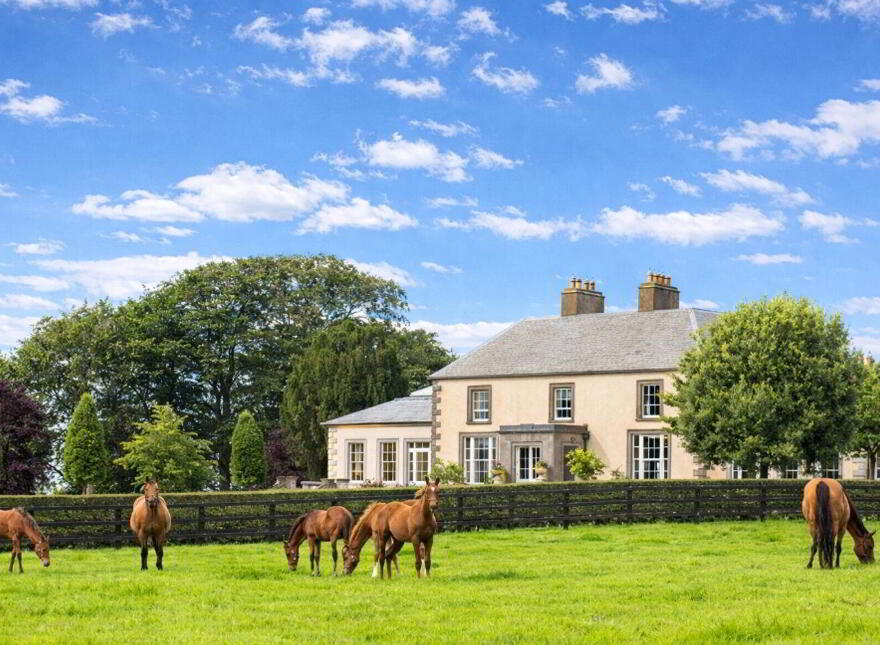 Triermore House, And Stud Farm, Fordstown, Fordstown, C15H5KH