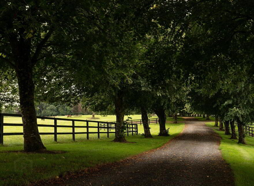 Triermore House, And Stud Farm, Fordstown, Fordstown, C15H5KH