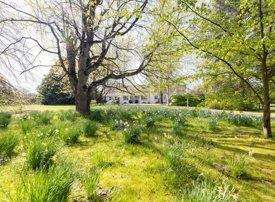 Arlonstown House, On Approx, 3.94 Hec (9, 75 Acres), Swainstown, Kilmessan, C15XY26