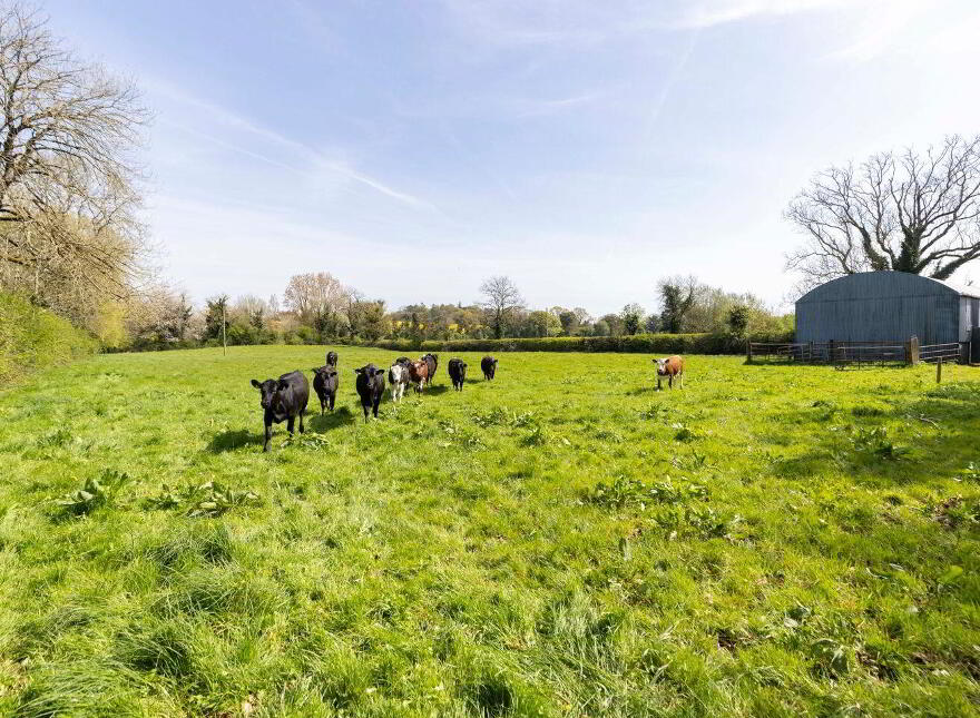 Arlonstown House, On Approx, 3.94 Hec (9, 75 Acres), Swainstown, Kilmessan, C15XY26