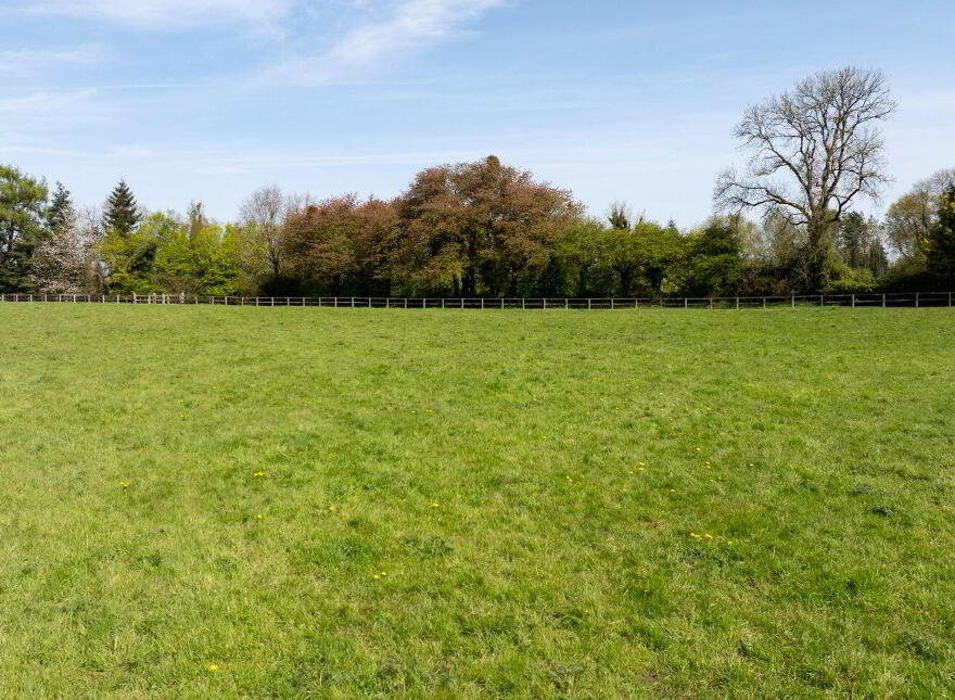 Arlonstown House, On Approx, 3.94 Hec (9, 75 Acres), Swainstown, Kilmessan, C15XY26