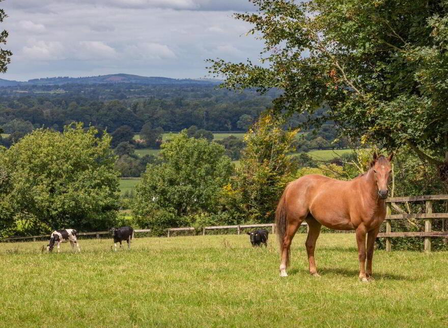 Beaconhill, On Approx, 15 7ha ( 38.77 Acres), Kennycourt, Brannockstown, W91Y303