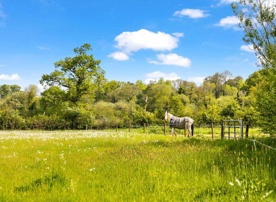 Ballylanigan House, Mullinahone, E41HR60